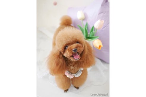💕ティファニー💕ちゃん1枚目
