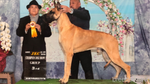 ROMEOくん1枚目