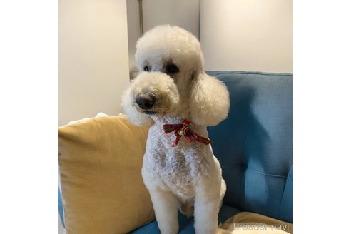 くん1枚目