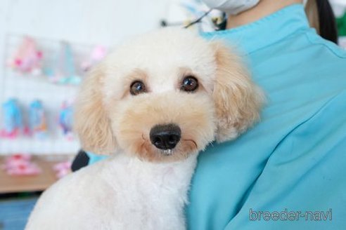 ブラッキーちゃん1枚目