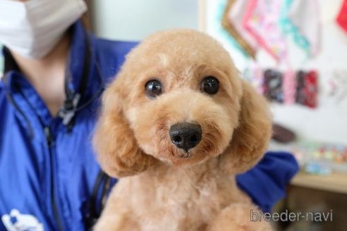 ユズちゃん1枚目
