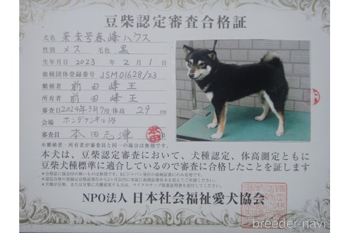 クルミちゃん1枚目