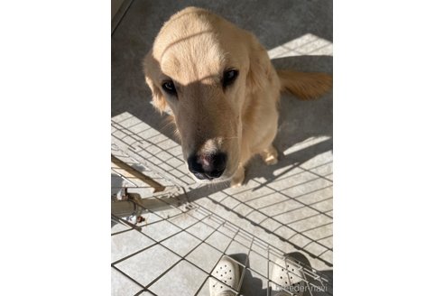 テオくん1枚目