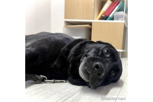 ボンちゃん1枚目