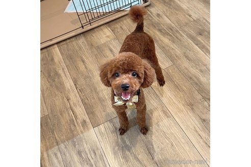 ゆあちゃん1枚目