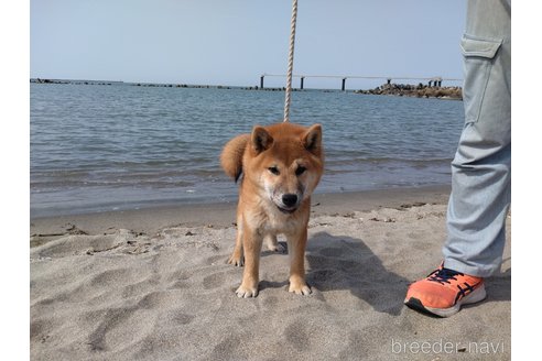 くん1枚目