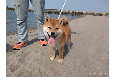 ちゃん1枚目