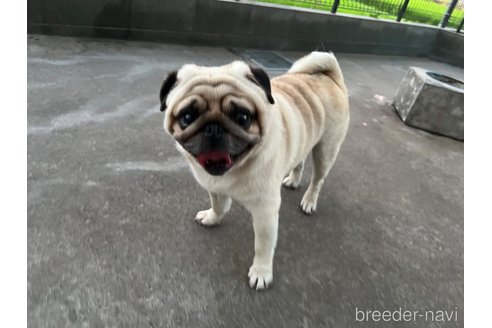デュークくん1枚目