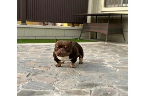 UNOちゃん1枚目