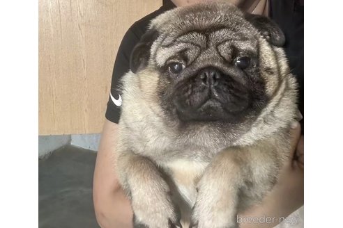 エリーアスくん1枚目