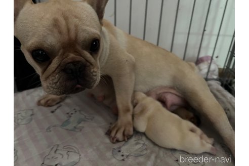 たけちゃんちゃん1枚目