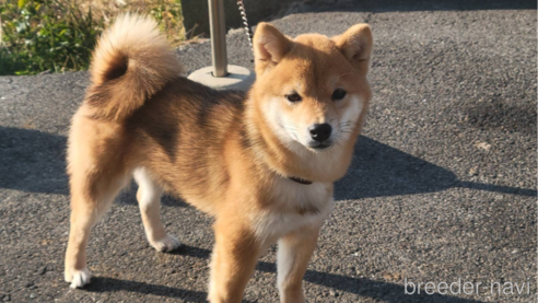 瞳ちゃん1枚目