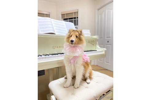 ちゃん1枚目