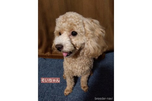 そいちゃん1枚目