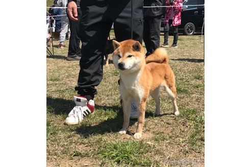 ちゃん1枚目