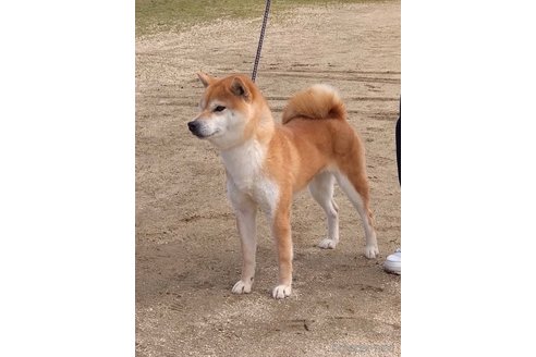ちゃん1枚目