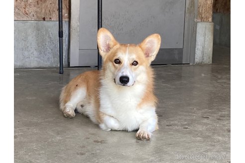 うみくん1枚目