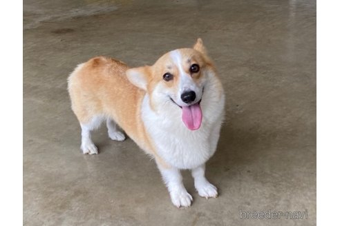 ラクちゃん1枚目