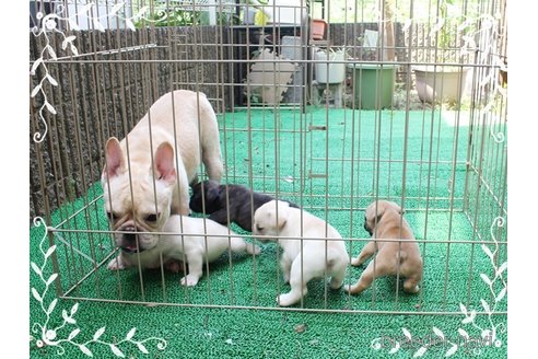 アニバーサリーちゃん1枚目