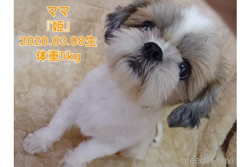 ちゃん1枚目