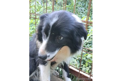 パンちゃん1枚目