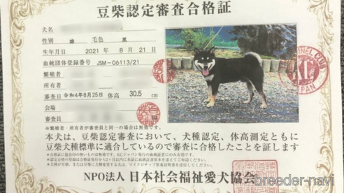 新月号くん1枚目