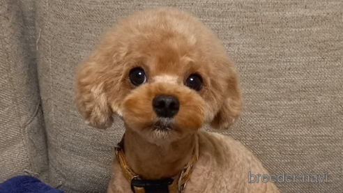 みぅちゃん1枚目