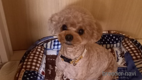 みぅちゃん1枚目