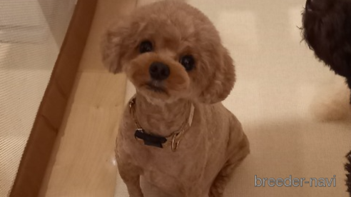 みぅちゃん1枚目