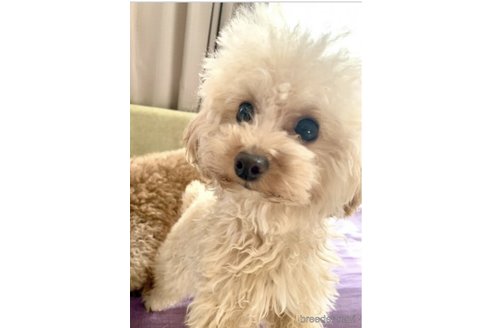 くま🧸くん1枚目