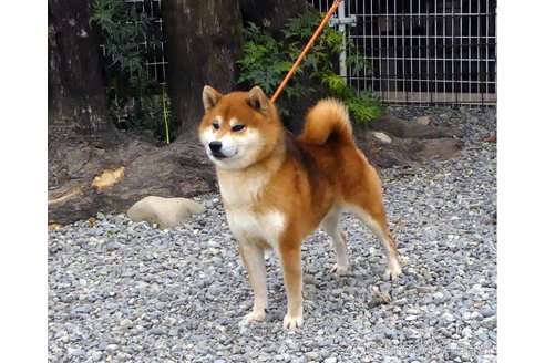 藤乃翔龍くん1枚目