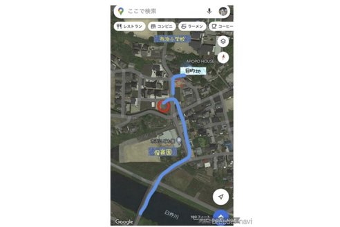 成約済の大分県のスタンダードプードル-333183の4枚目