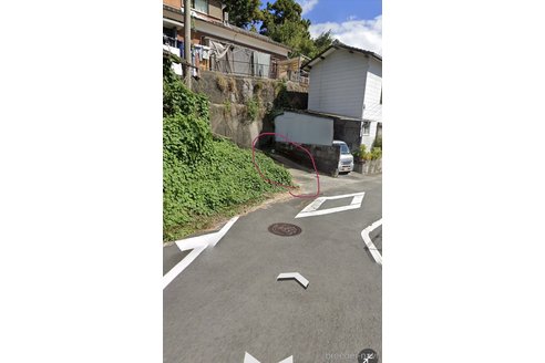 成約済の大分県のスタンダードプードル-333183の2枚目