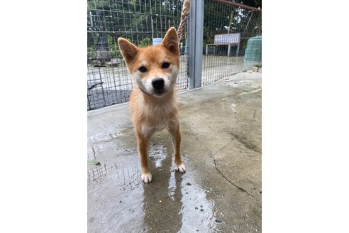 ちゃこちゃん1枚目
