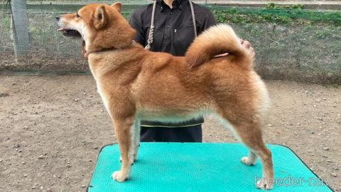 広瀬の莉有号　遠州広瀬荘ちゃん1枚目