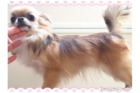 フレア🐰ちゃん1枚目