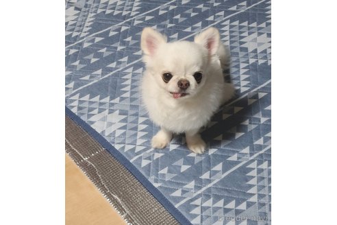 アークくん1枚目