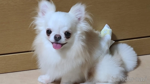 アークくん1枚目