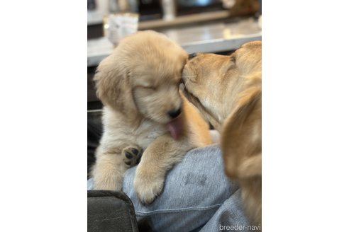 ピノちゃん1枚目
