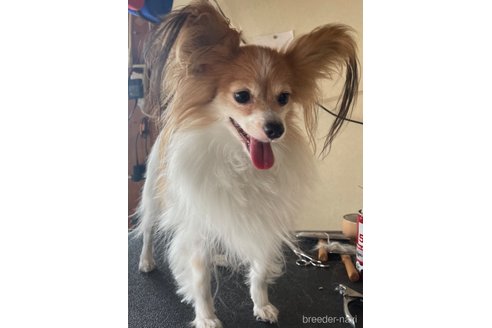 アリスjrちゃん1枚目