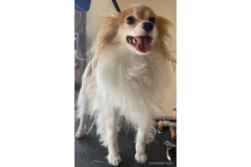 アリスjrちゃん1枚目