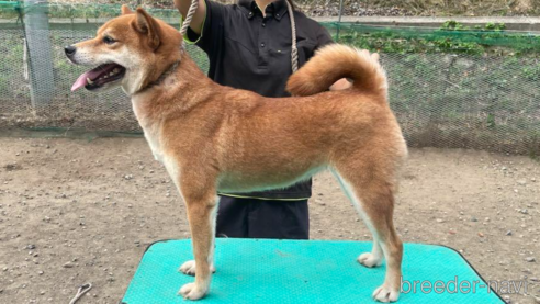 福葉姫号　遠州広瀬荘ちゃん1枚目