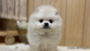 オンライン見学