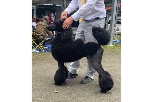 ポセイドンくん1枚目