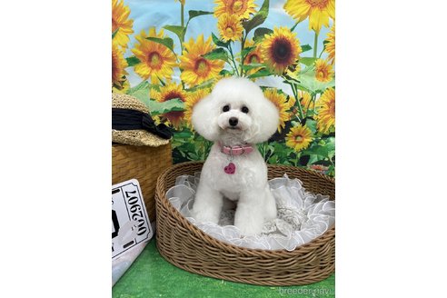 福ちゃん1枚目