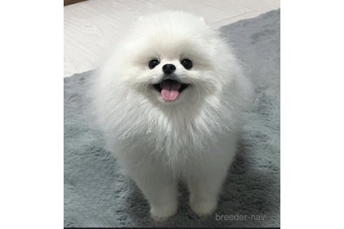 jackくん1枚目