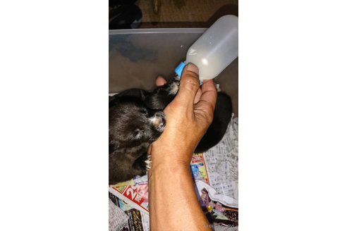 ジュニアくん1枚目