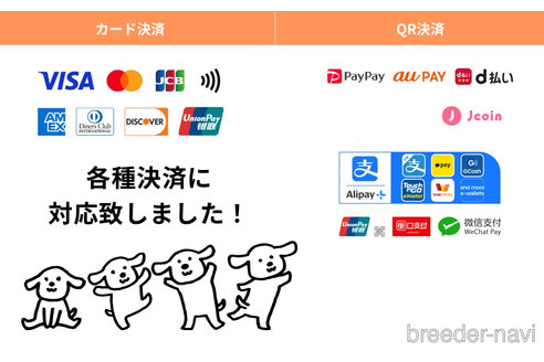 成約済の東京都のチワプー:チワワ×トイプードル-334712の3枚目
