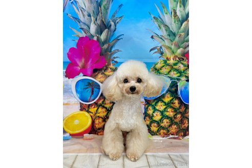 麦くん1枚目