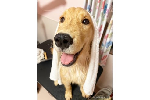 りむちゃん1枚目